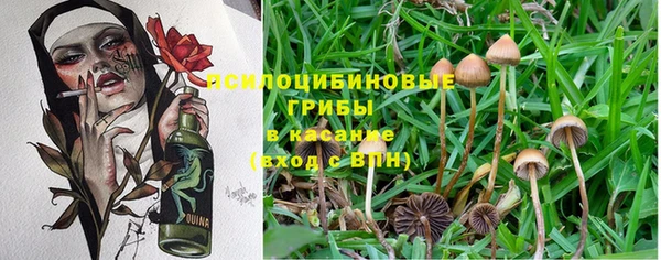 стафф Волоколамск