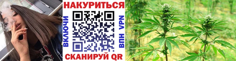 наркошоп Махачкала Бошки марихуана тримм
